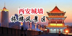射进去视频啊好大啊中国陕西-西安城墙旅游风景区